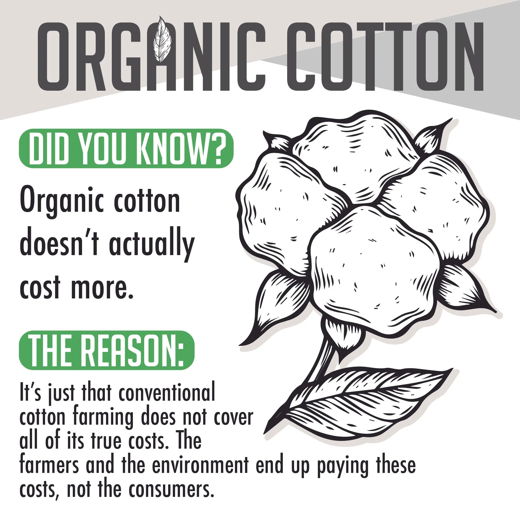 Infographic explaining that organic cotton doesn't actually cost more because conventional cotton farming doesn't cover all of its true costs, highlighting environmental concerns.
