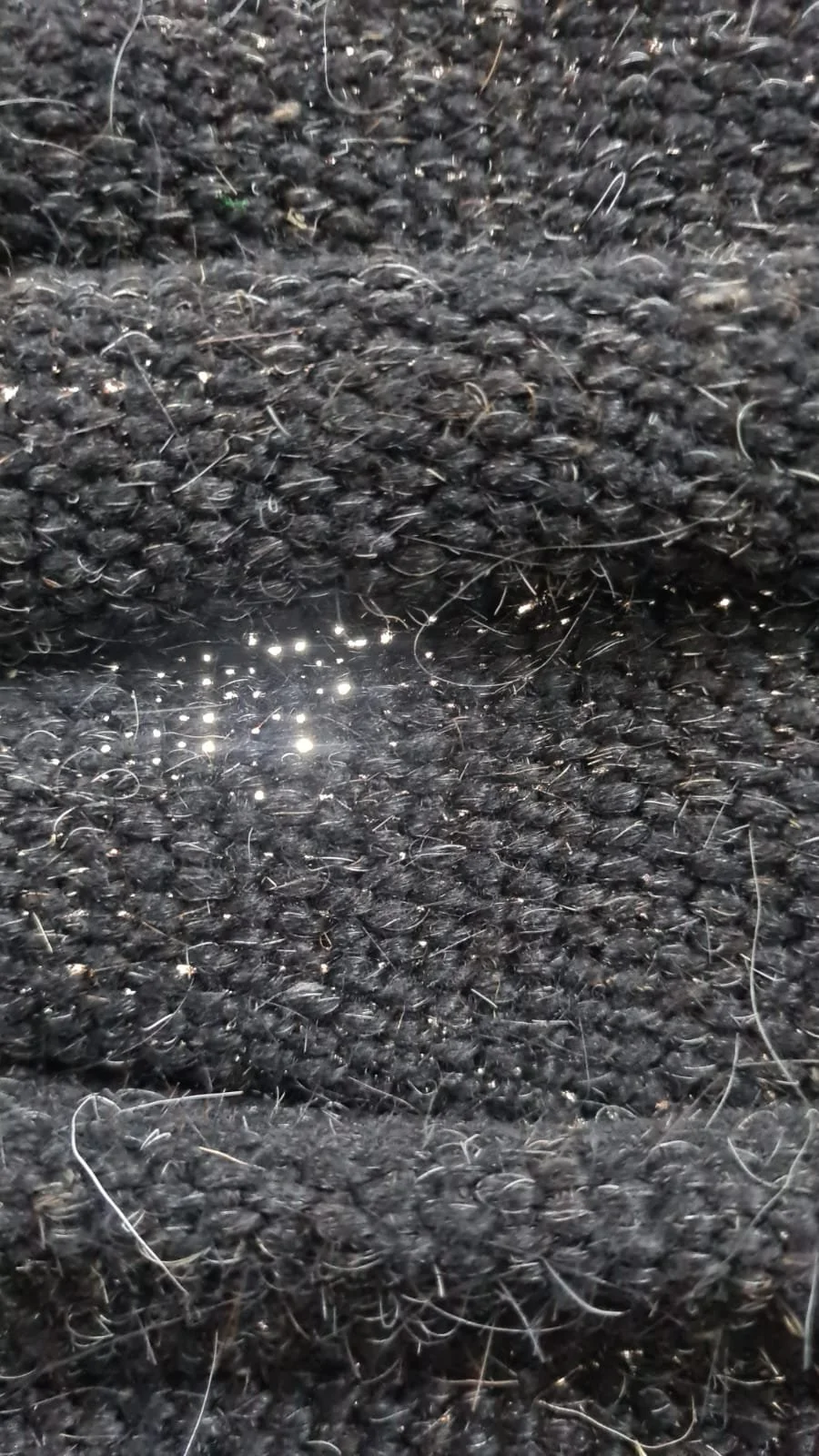 WhatsApp Image 2024-02-24 at 5.31.05 AM.jpeg