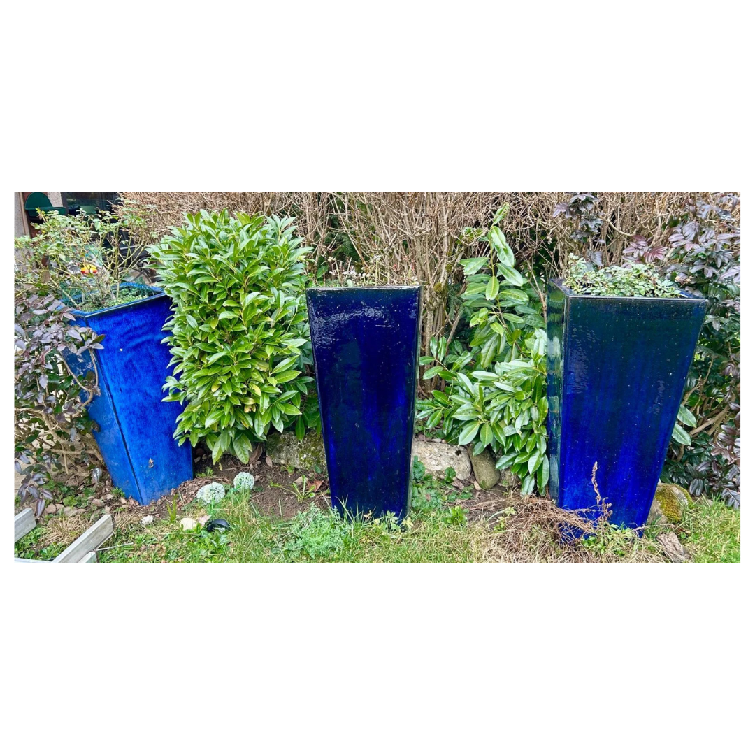 Première partie d'un fond de maison à Dardilly