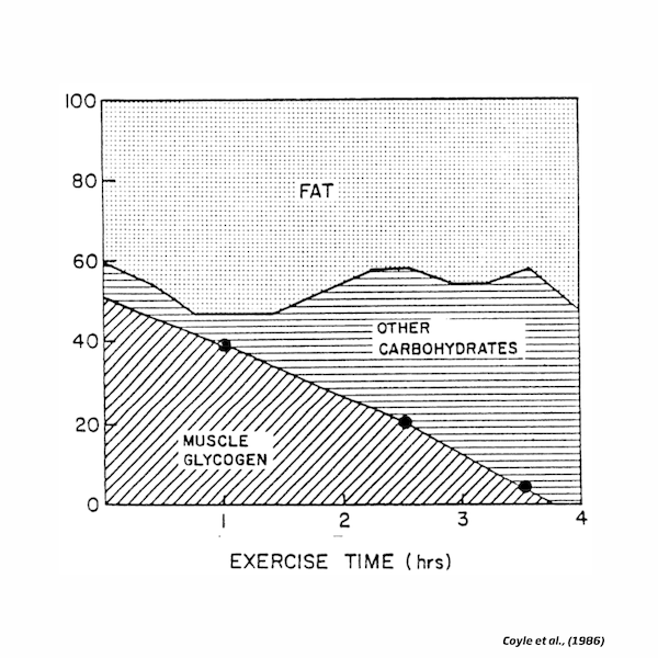 How Many Grams Of Carbohydrate Should I Eat During Exercise? — Ben ...