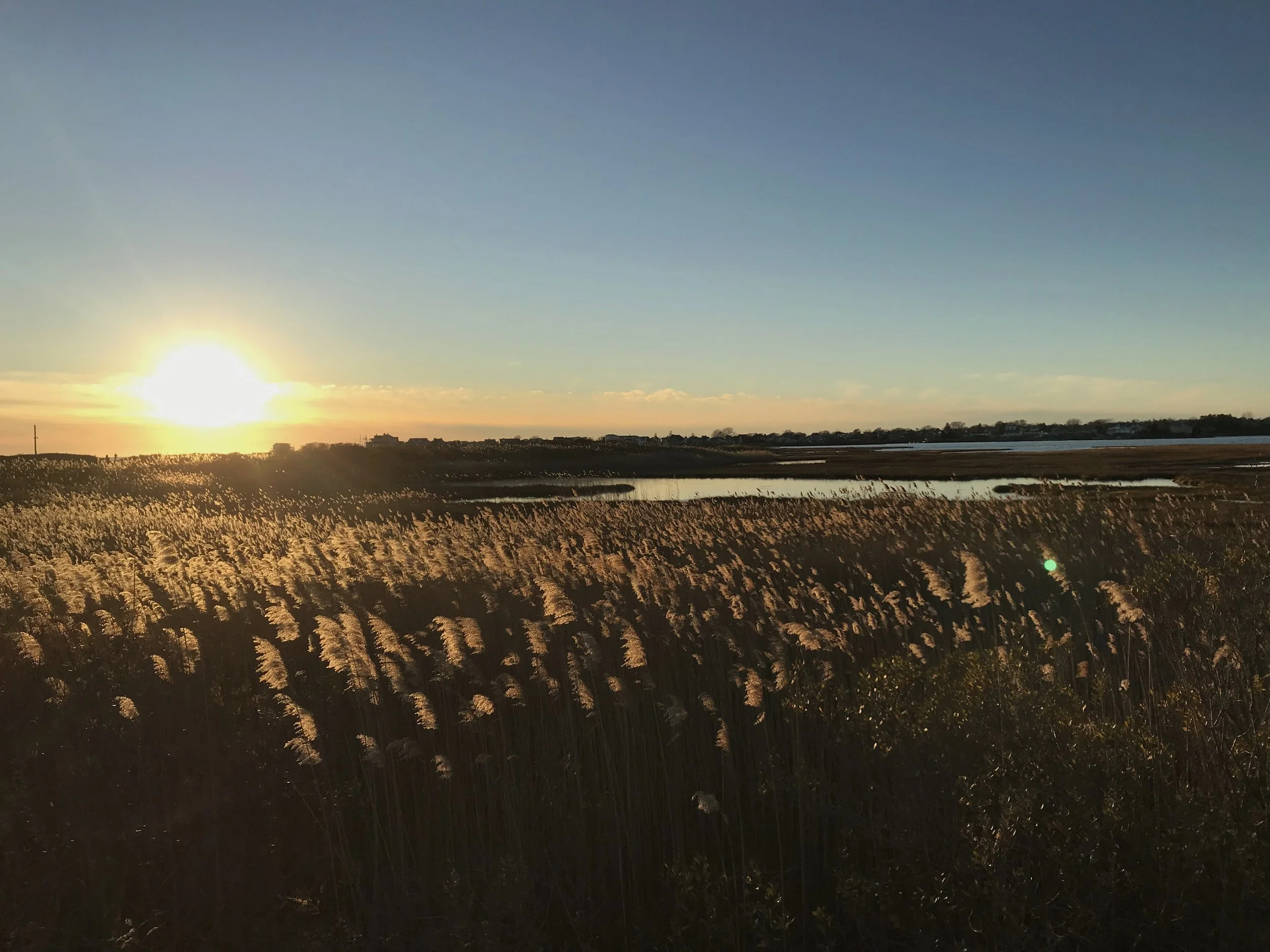 Habitat Restoration Strategy Kickoff Meeting