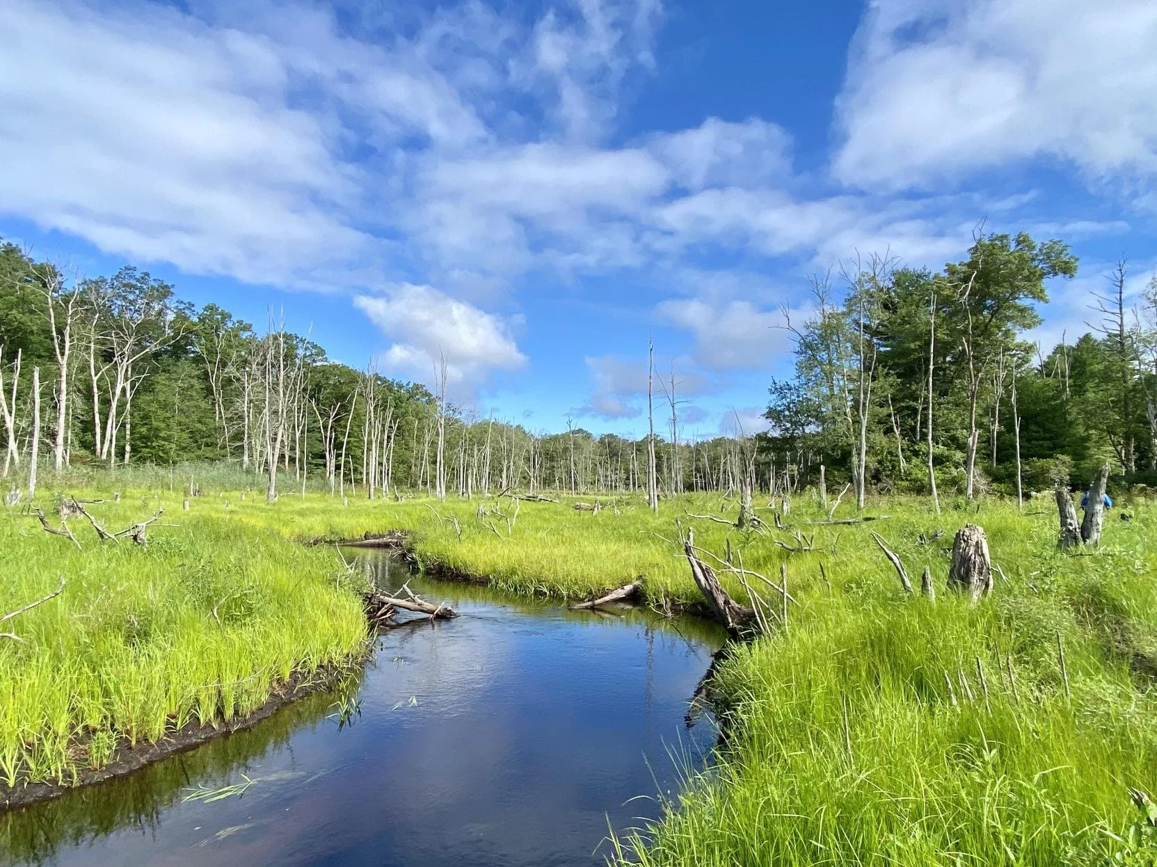 Aquatic Connectivity Working Group