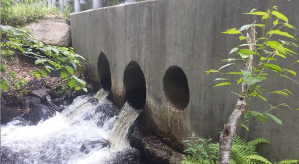 Project Update: Hudson Pond Dam and Hillsdale Road Culvert Connectivity Projects  