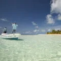 T+Cay+17aaa+300+5666.jpg