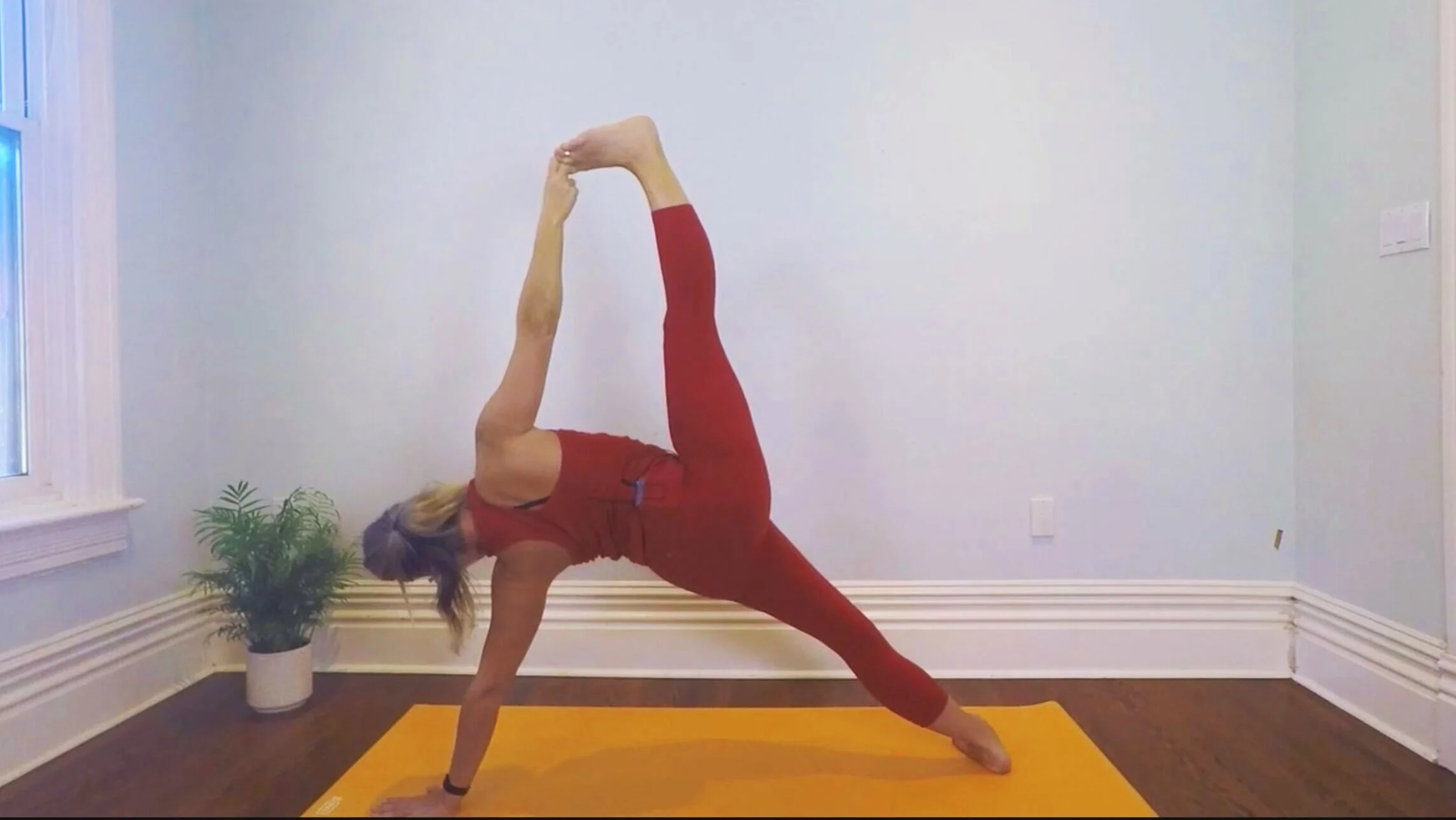 Vira Vinyasa: Body and Breath