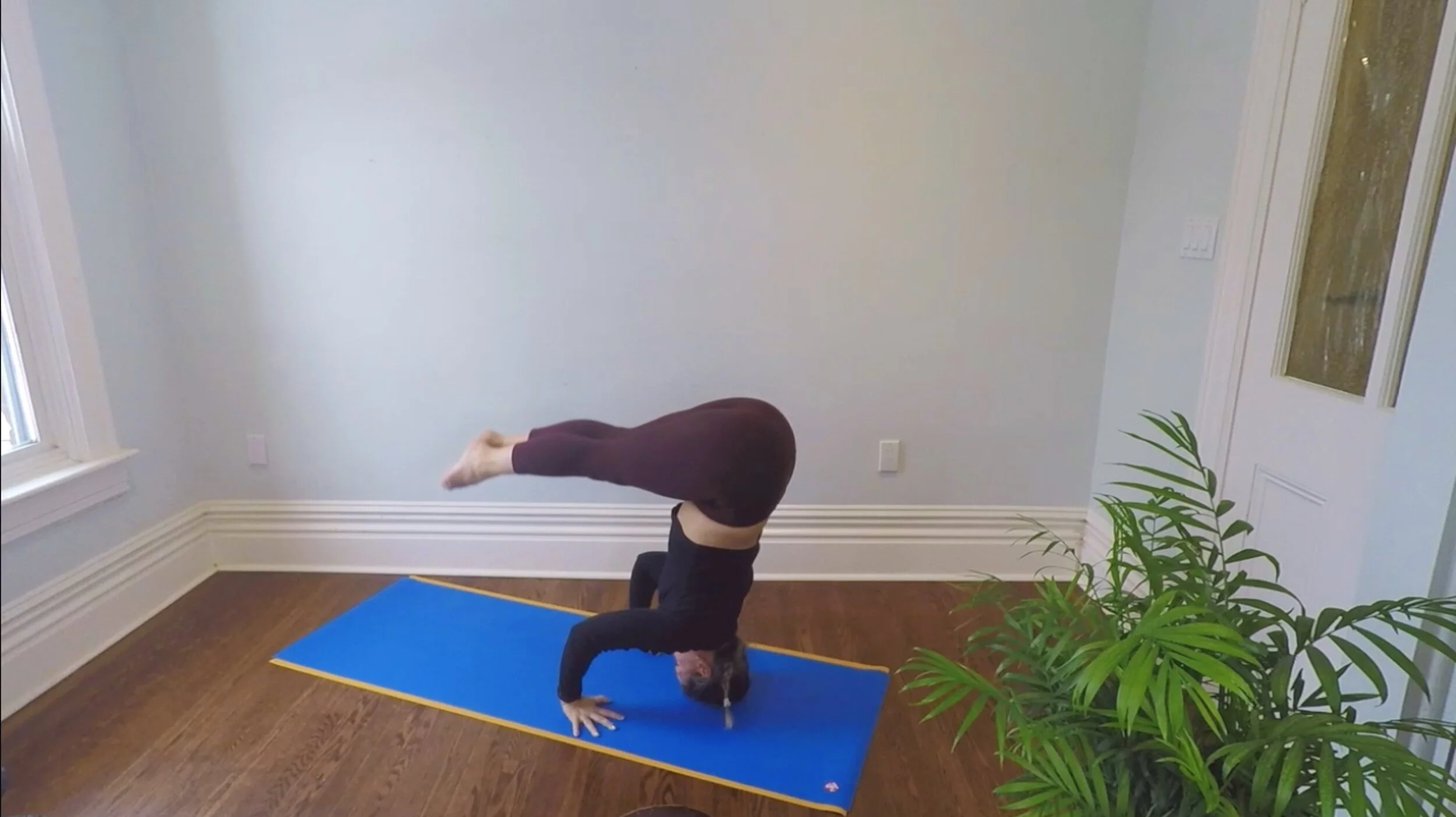 Vinyasa: Happy Entanglement