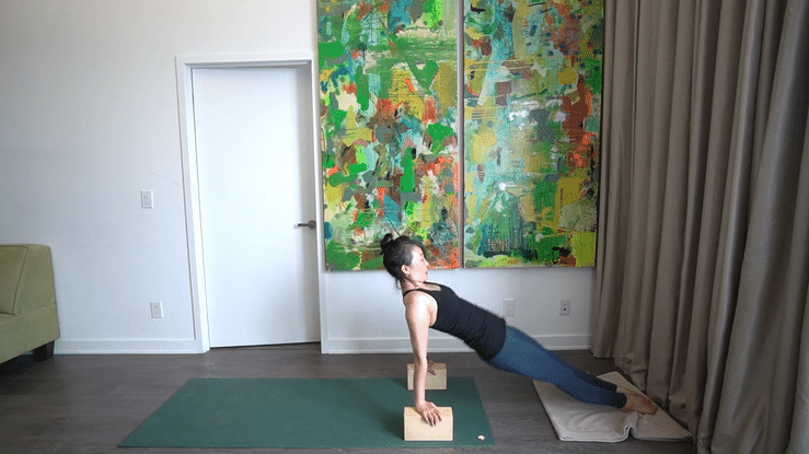 Freestyle Flow: Align and Shine