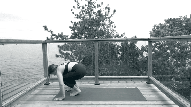 The Microdose: Surya Namaskar