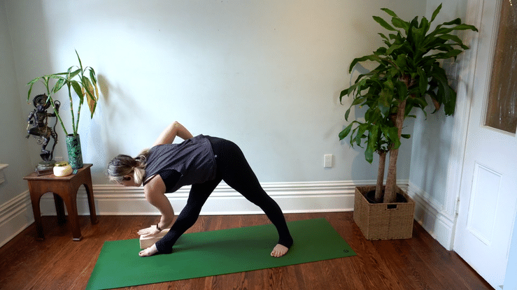 Vinyasa: Daily Practice (express format)