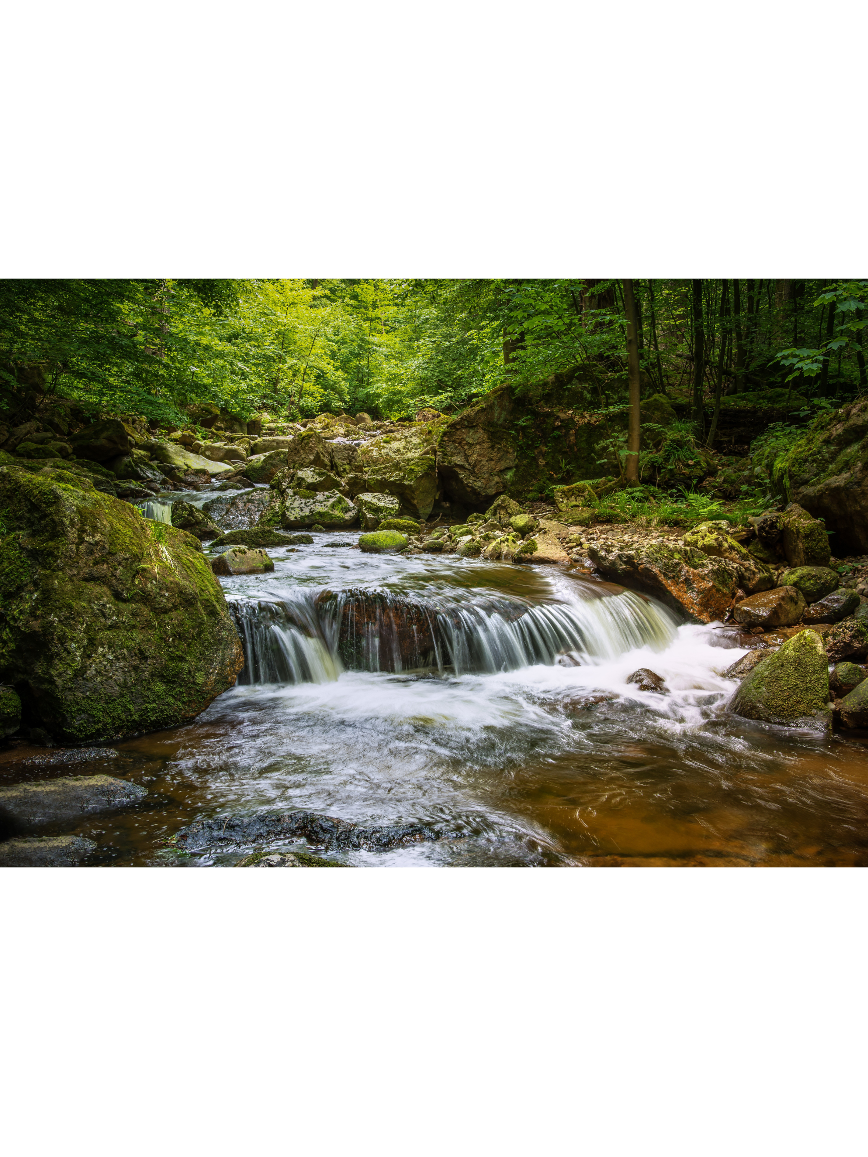 Deep Listening (Soundscape Only Version)