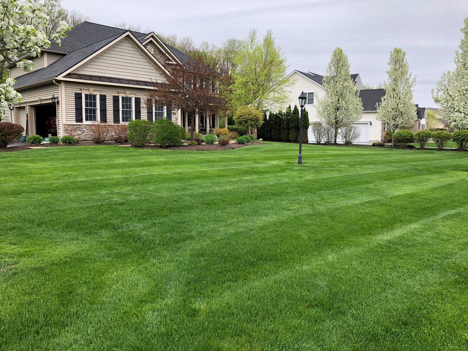 Landscaping Service Near Me - Kinnucan Tree Experts