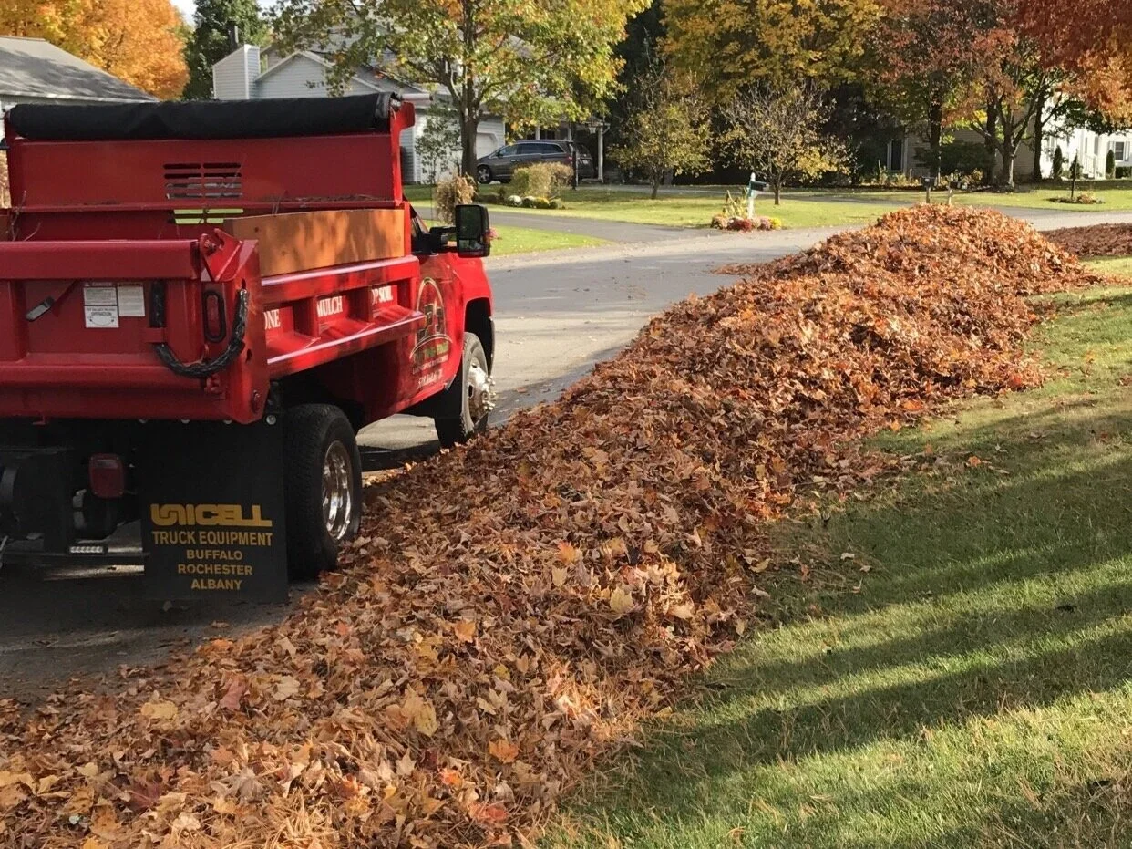 Lawn and Landscaping Services Clifton Park — JP's Cutting Edge