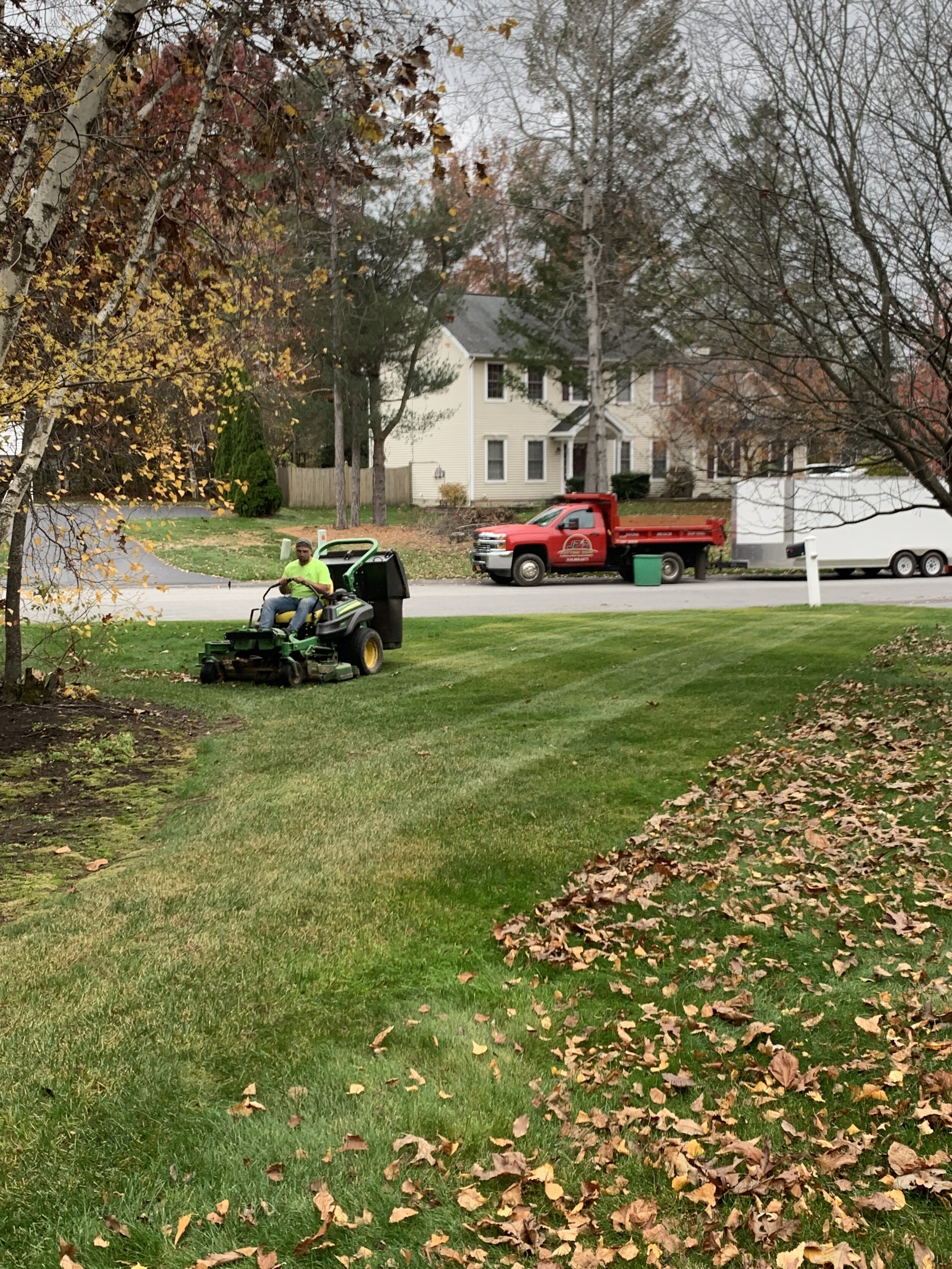 Fall Yard Cleanup Clifton Park & Halfmoon — JP's Cutting Edge