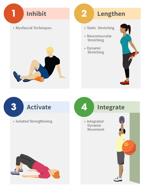 What is corrective exercise and why is it important? — Plus Forte ...
