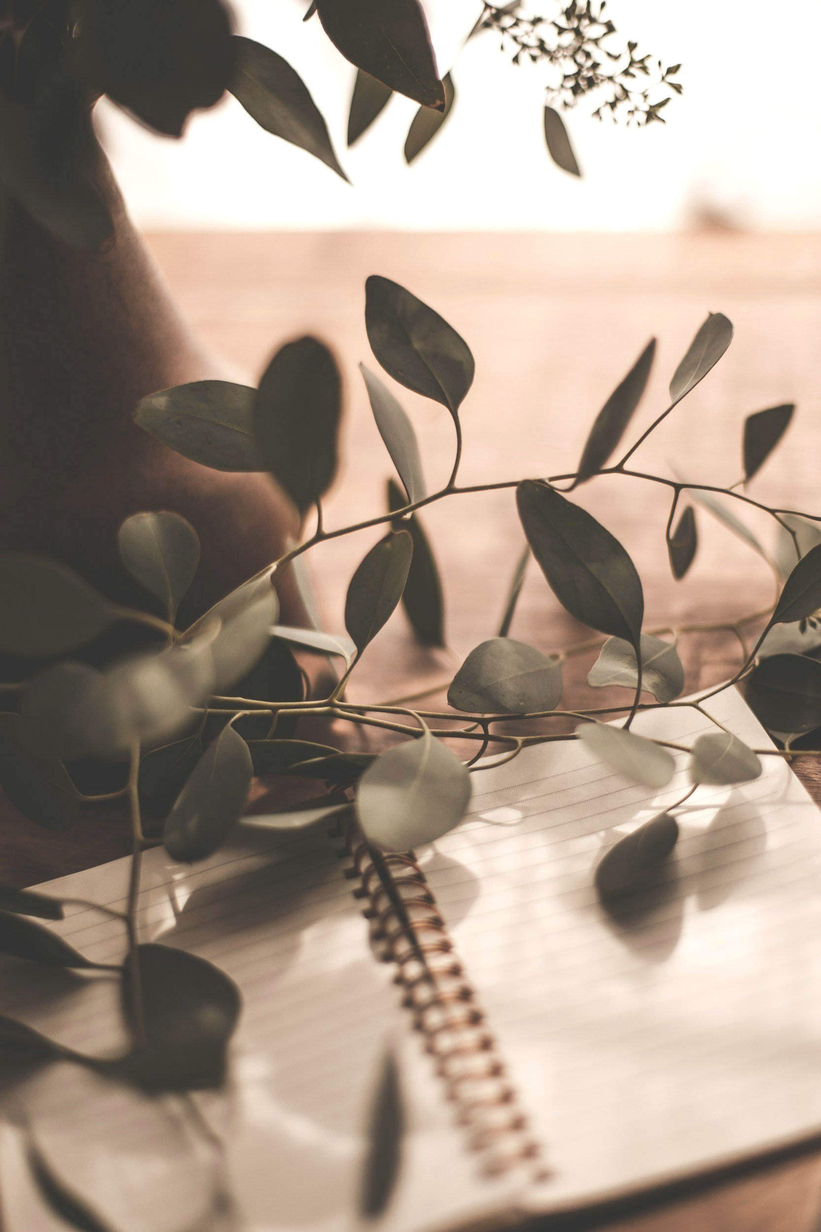 unsplash-image-hUBXUk8wzqM.jpg
