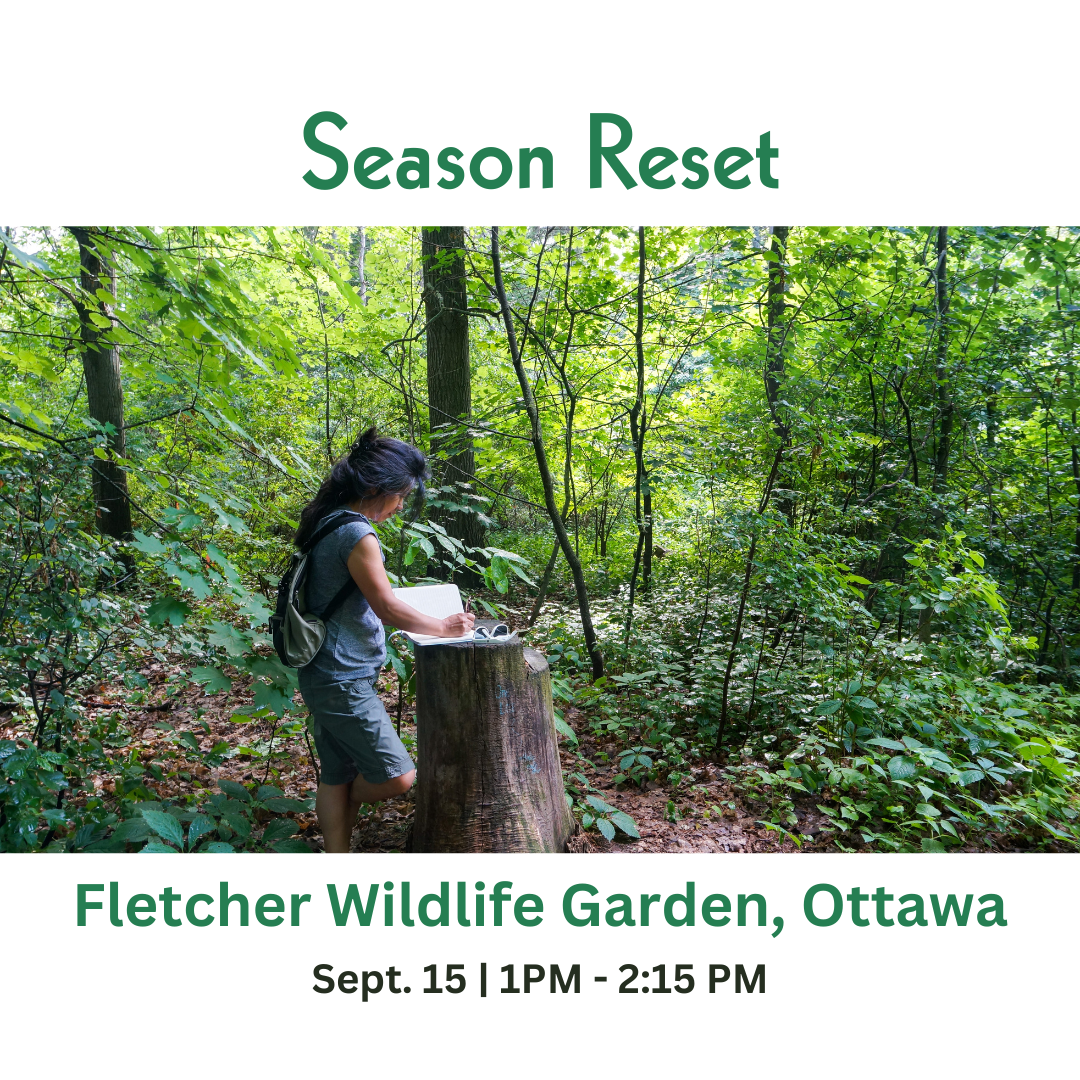 Woman writing at Fletcher Wildlife Garden