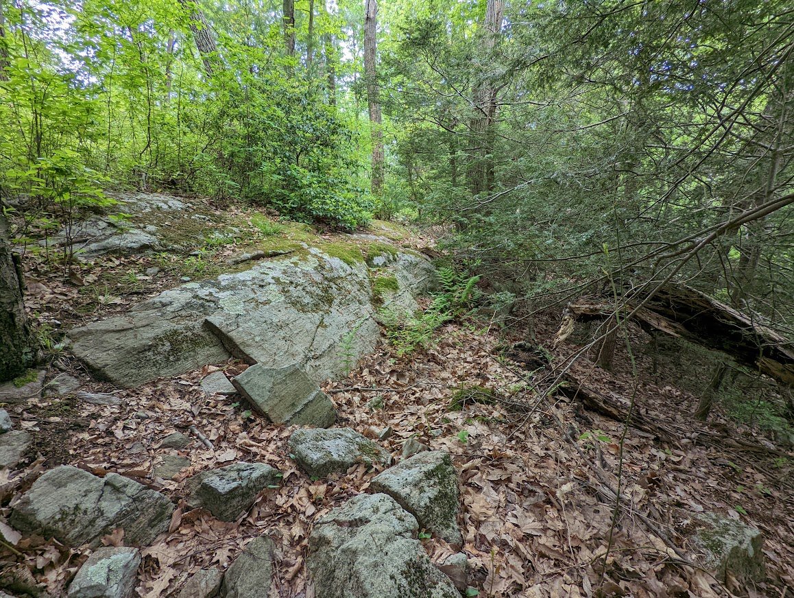 NCWBP 5.24.22 32.jpg