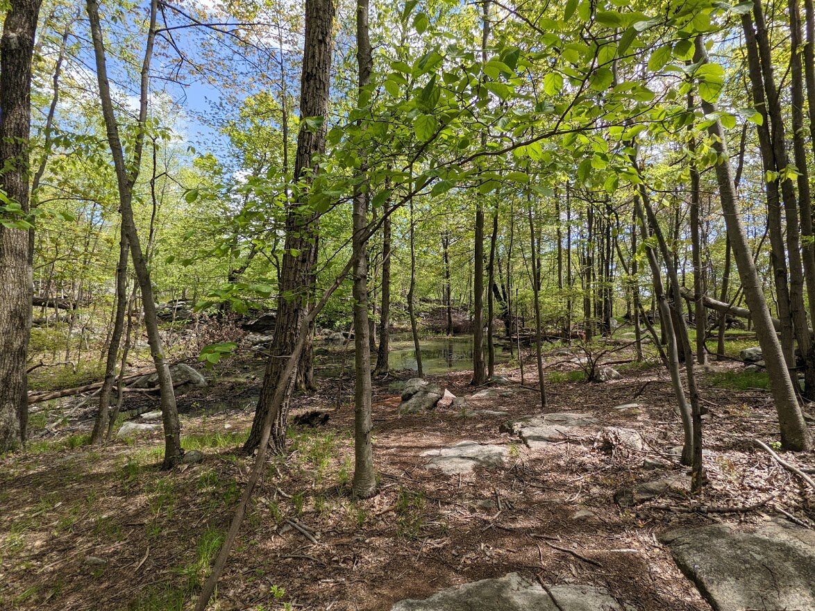 Even at higher elevations you can still find wetland environment.