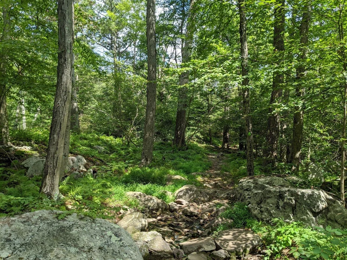 One last crossing of Cooley Brook, a seasonal water source.