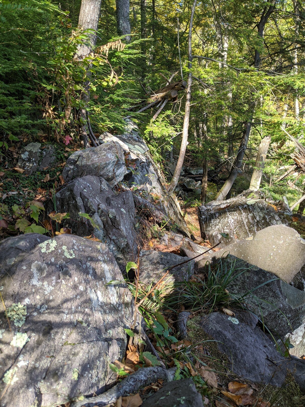 Yep. That's the trail.
