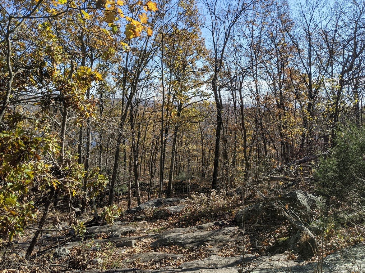 Another hundred feet of climb and the view starts to spread out a bit more. That was the great thing about stopping to catch my breath: I turned around and saw this! If I hadn't stopped, my back would have been to it the entire climb.