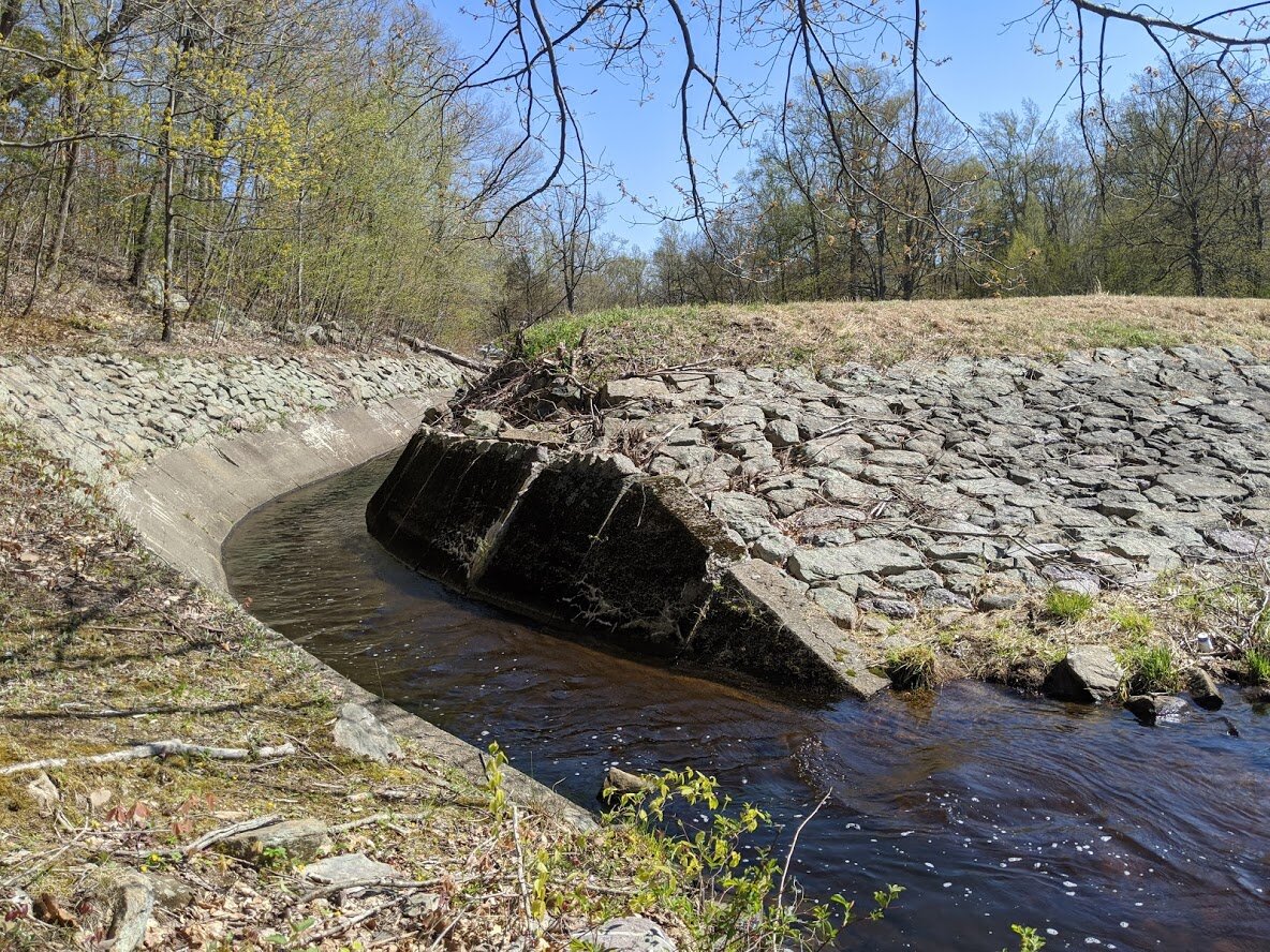 NWS ELE 5.13.20 22.jpg