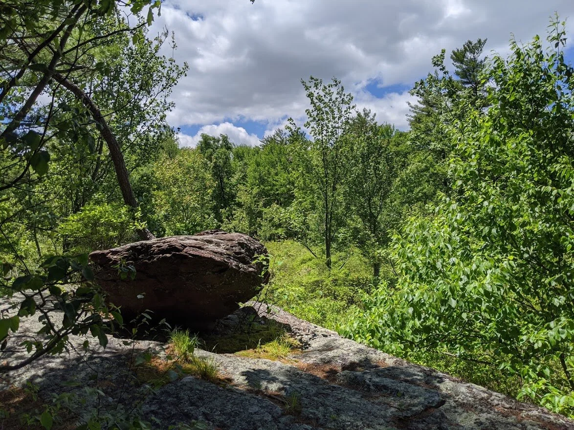NWS Hanks 6.7.20 18.jpg