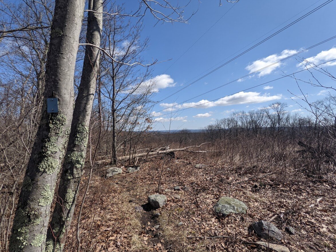 The trail hugs the power lines, but they aren't a sound disturbance to you unless you're right under them.