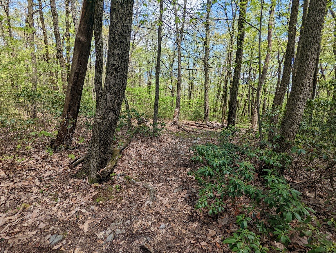 Lots of little trails to explore around the campsite