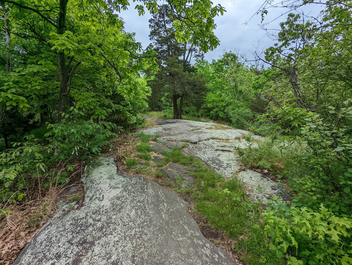 RSP Five Ponds 5.20.22 2.jpg