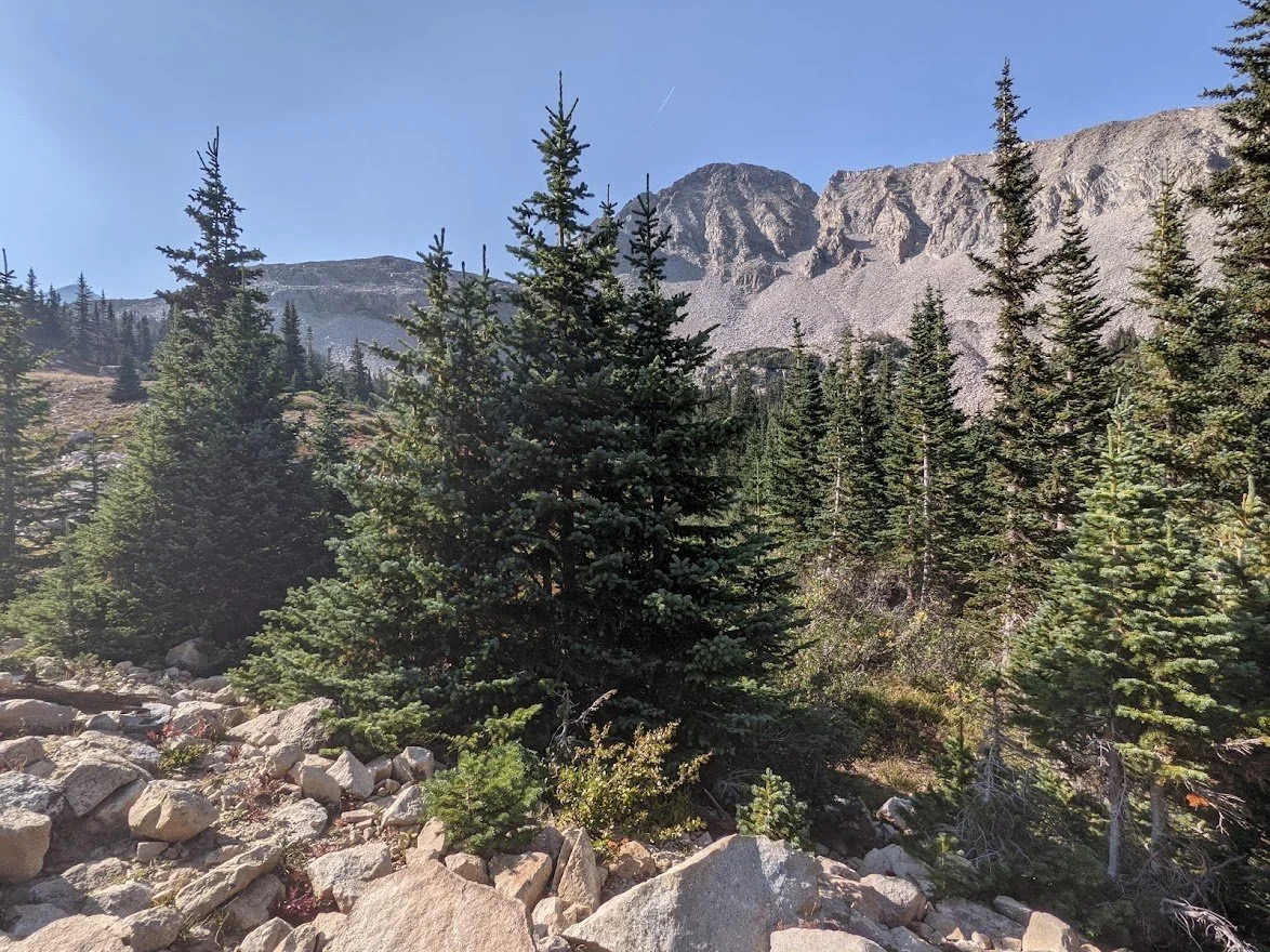 The moose was long gone, but the views were still present.