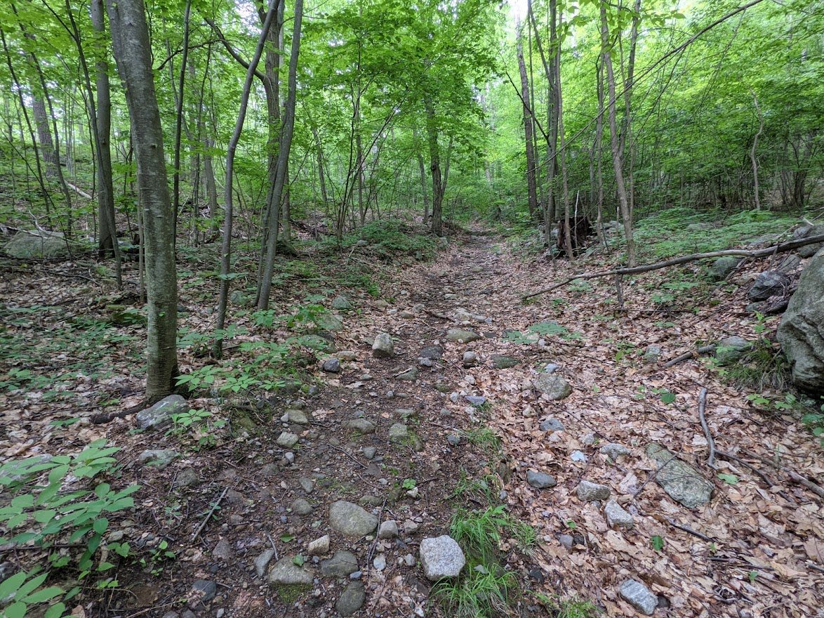 This little hill was easy to get up, though all of the rocks beneath the feet wanted to move