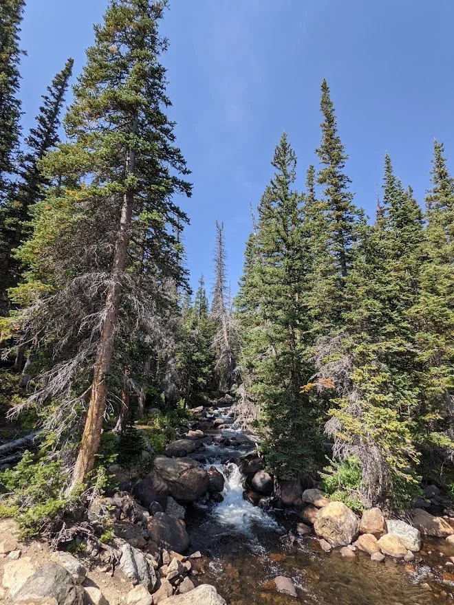 We hiked up the road to the trail head and this beautiful cascading waterfall was along the way.
