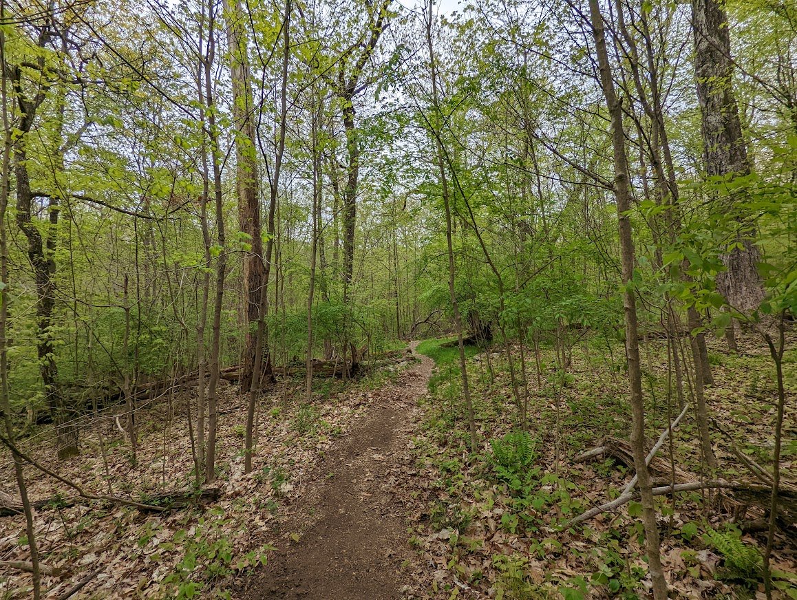 Because the terrain changes from mountain bike-y to hiker-y, you can sense how close you are to Shepherd Lake