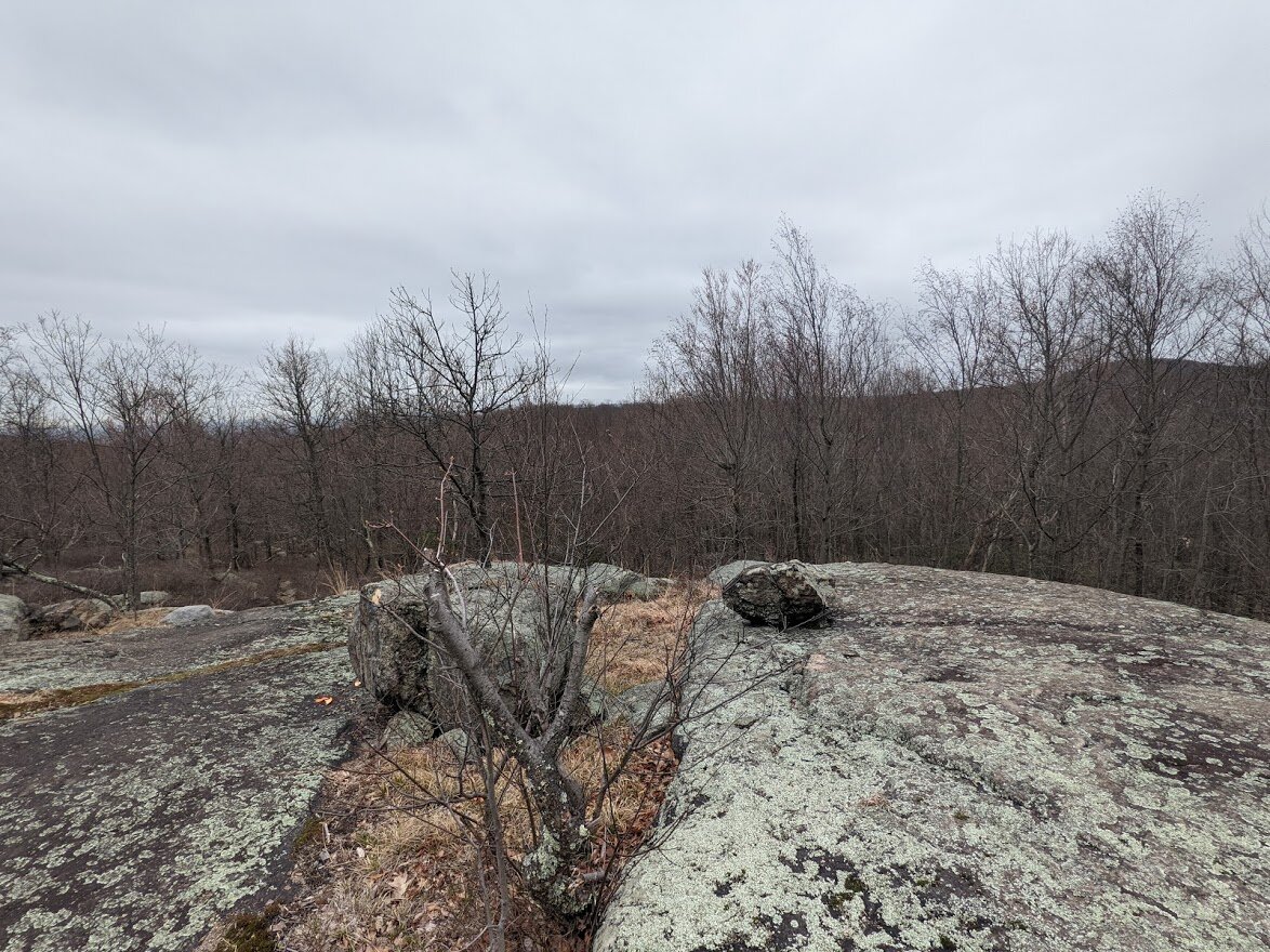 Topping out at 900', there isn't much of a view but it is a nice, exposed hill top that provides a bit of a breeze.