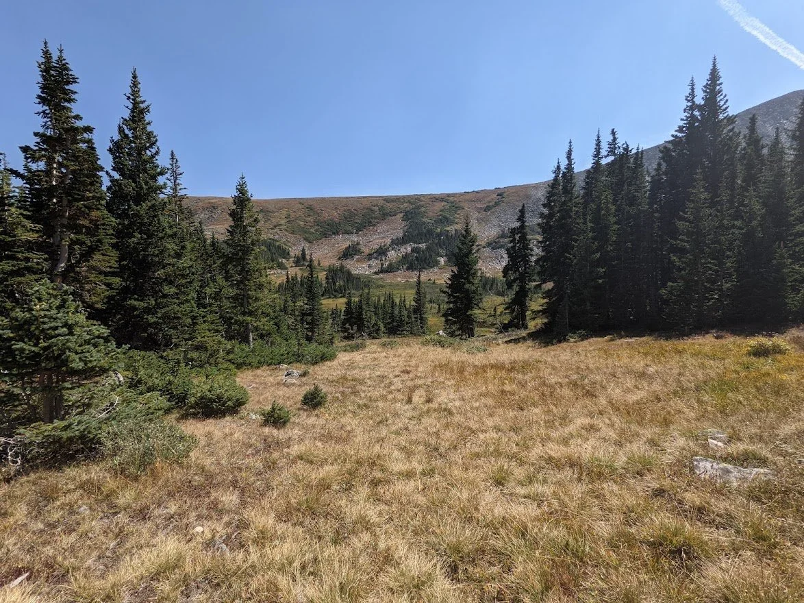 A long valley view from the trail
