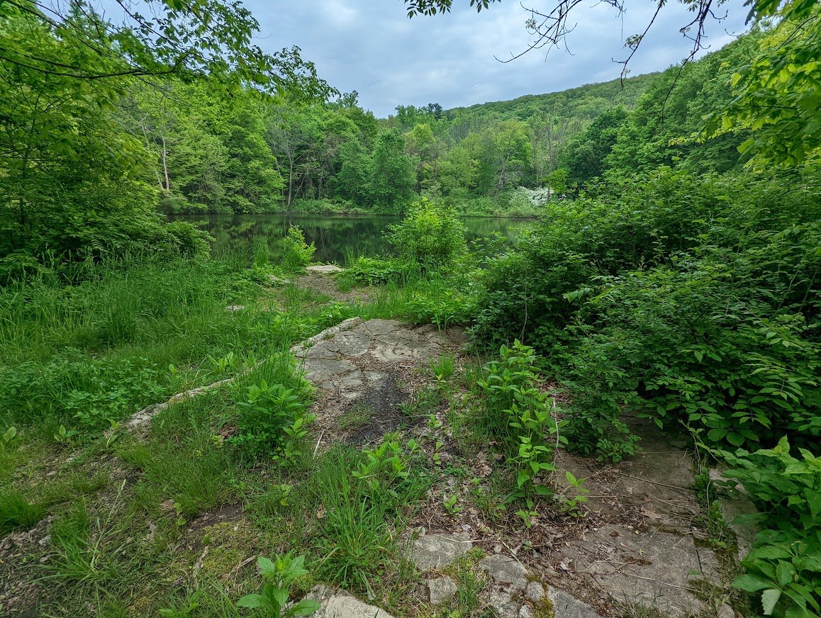 RSP Five Ponds 5.20.22 19.jpg