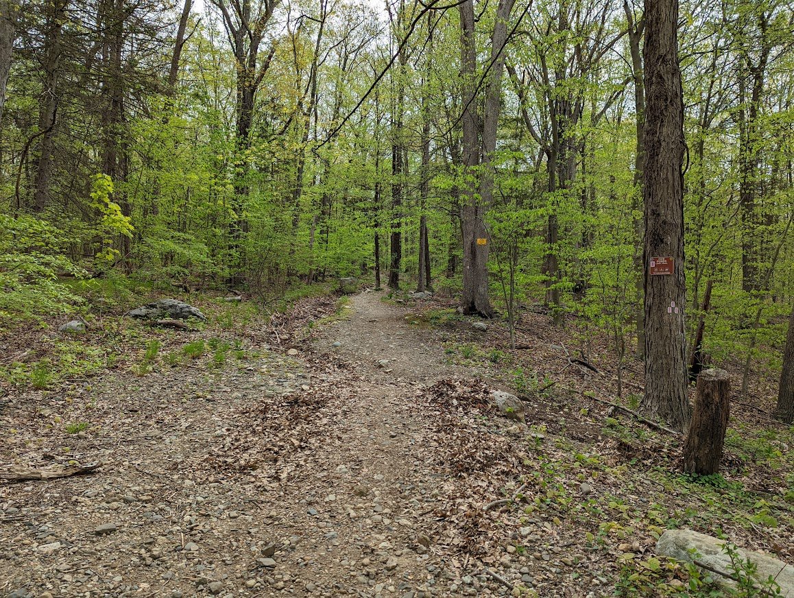 Headed right up and onto the Five Ponds trail (pink/white blaze)