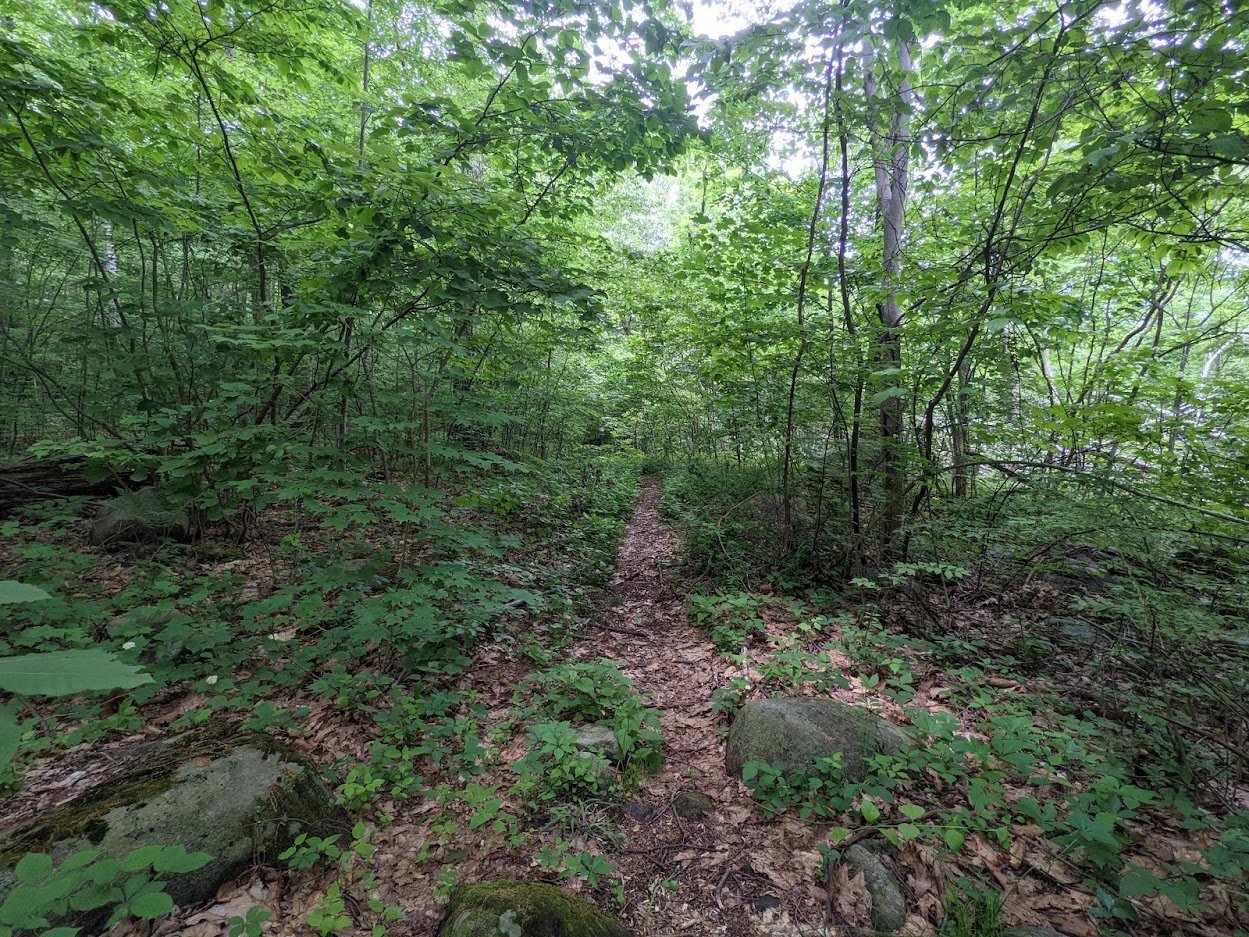 The parking lot, which I didn't photograph because I was creeped out by the guy sitting in his car holds about 6 cars, if memory serves me correctly and all of the drivers park appropriately. It was also overgrown. Much like the start of the trail. R