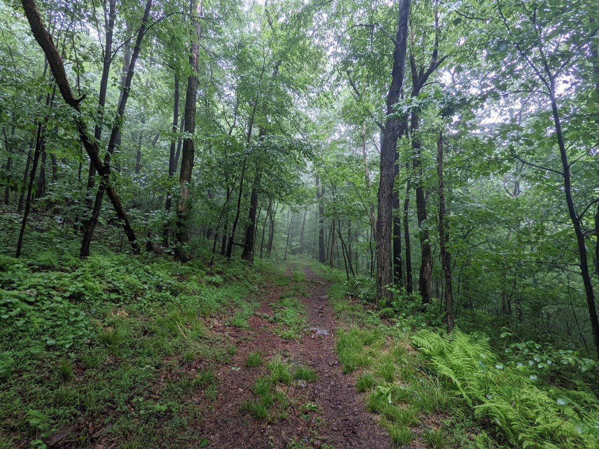 This was where I got the return call, so I headed back the way I came. My plan was to get to the Allentown shelter and pass out goodie bags to AT thru hikers. I never got that far.