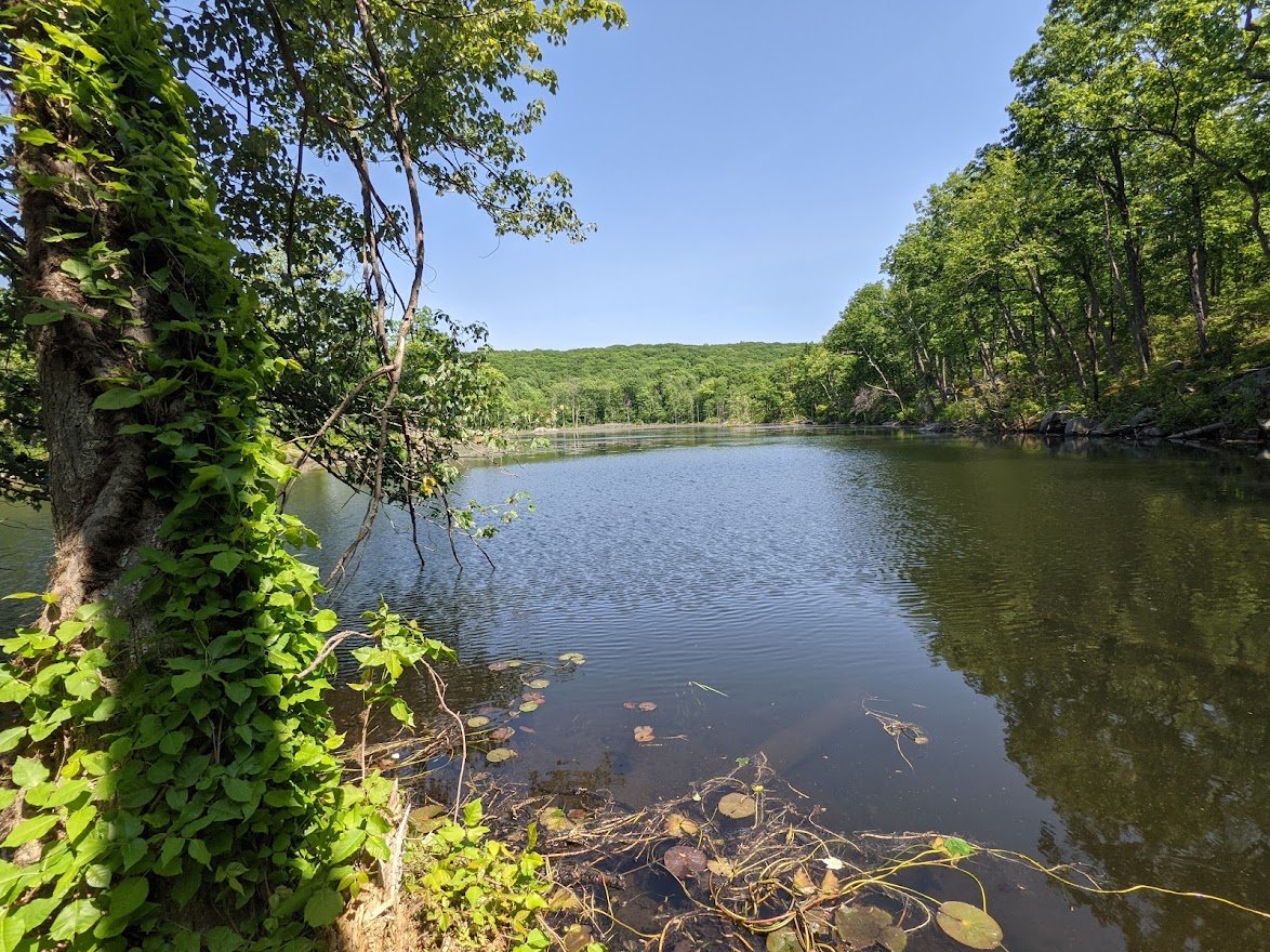 It is a wonder, though, how it can be so pretty and remote!