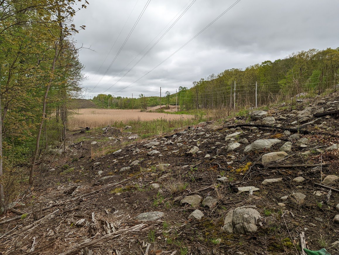 The power line clearing allows you to see how much is being changed
