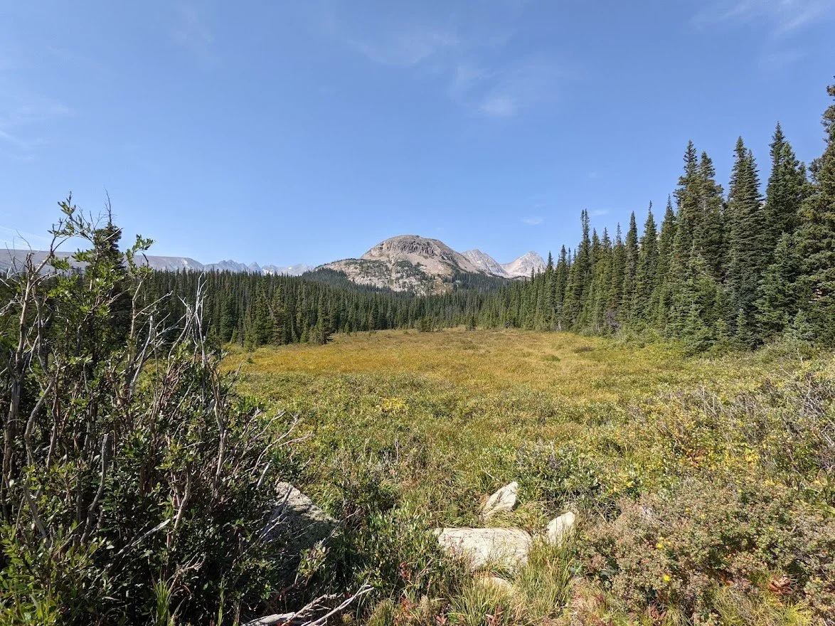 These views are still roadside. This is wide angle...