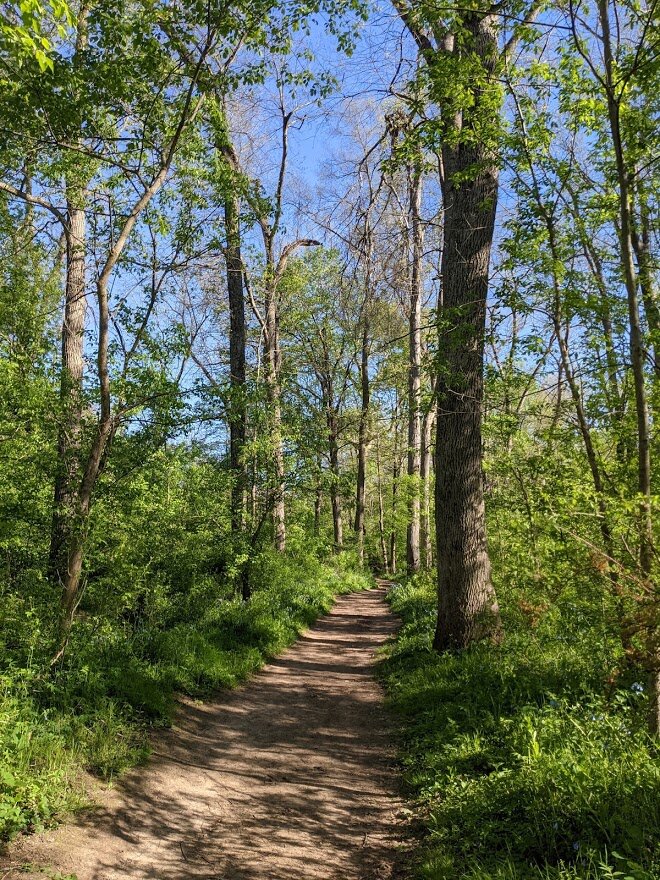I started the walk back here. It took me a solid 30 minutes to walk back to the boat launch and I was moving as quickly as I could.