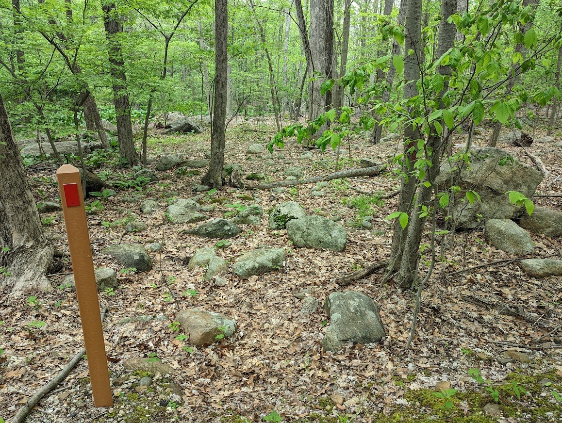 This half of Old Mill Woodland has two .1 mile section of natural trail: red and white