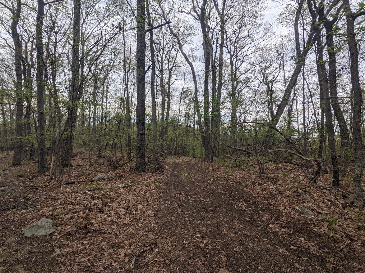 Once I reached my destination I turned around and intended to go back the way I came, but I was disappointed because I had gotten there a lot earlier than I anticipated and still had plenty of time and energy to continue. That was when I met my hikin