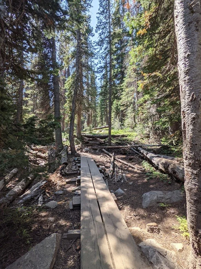 Boardwalks were everywhere to protect both the hiker and the environment