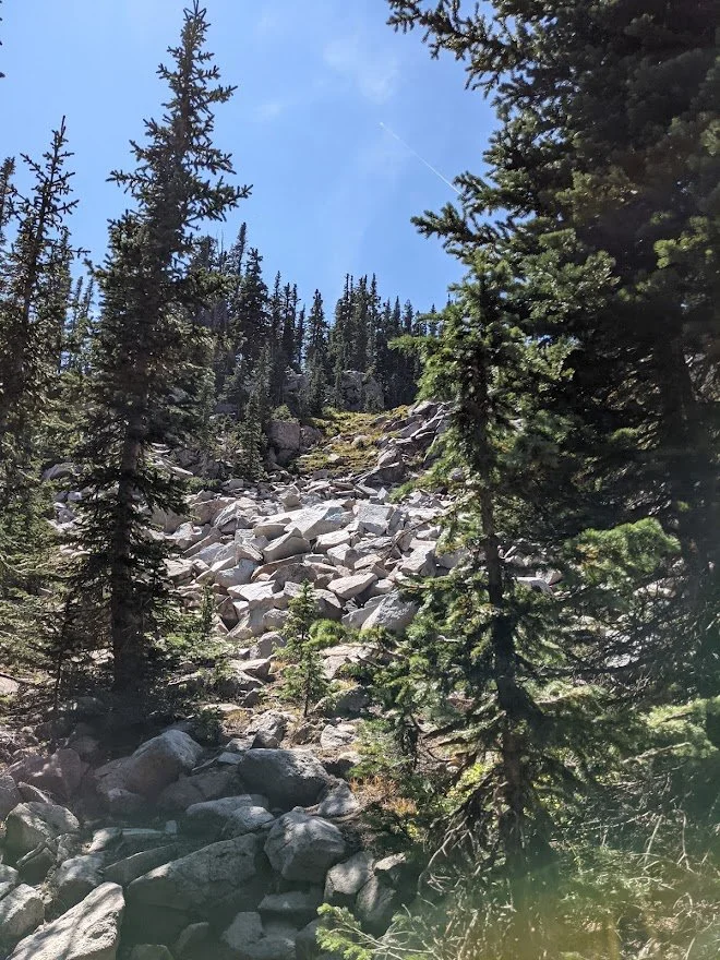 That is NOT the trail. If I were on the Appalachian Trail it would have been the trail but in Colorado you spared.