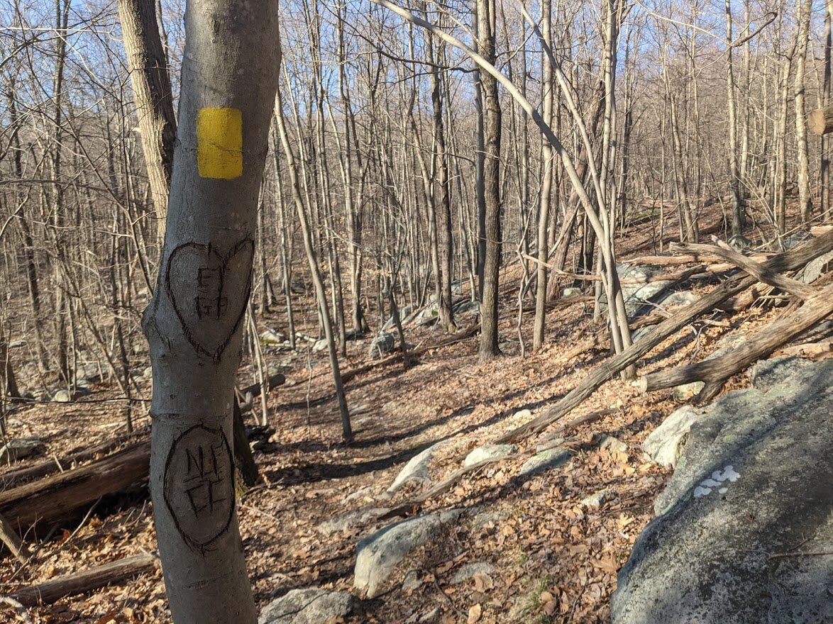 Let's just hope their love remains. Poor tree.