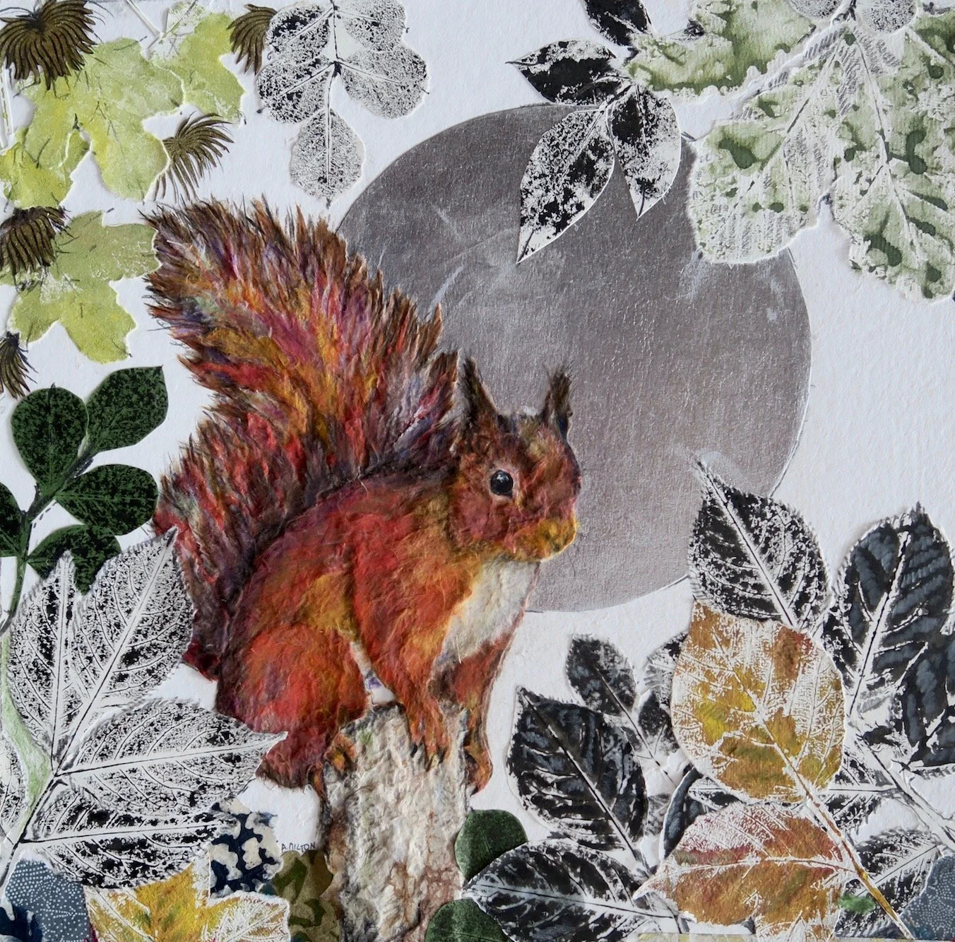 Red Squirrel and Silver Moon